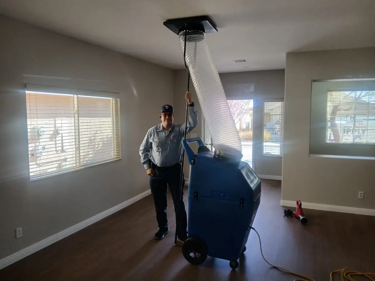 Professional Dryer Vent Cleaning work inside a Arcadia home